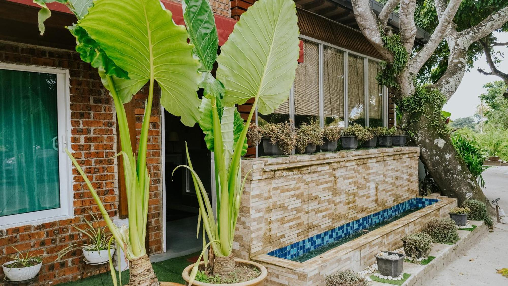 Destini Akef Villa Pantai Cenang  Exterior photo